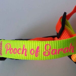 Safety Dog Leash with Customization